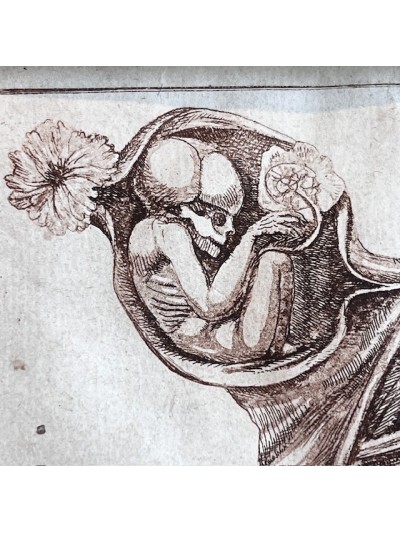 The art of procreating the...