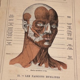 La vie normale et la santé...