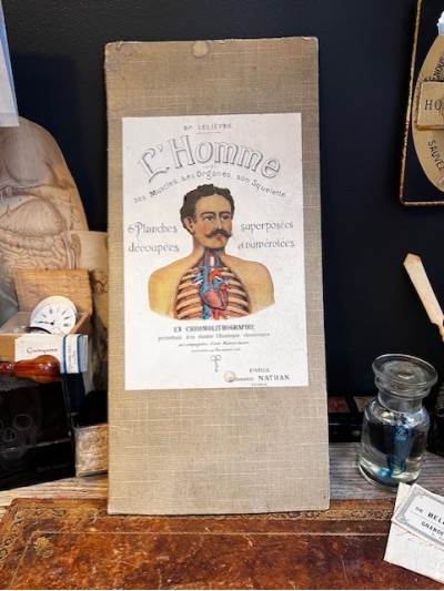 L'Homme - Planche...