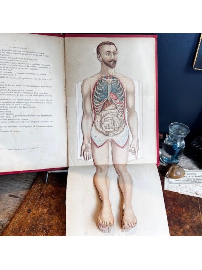 Anatomical atlas - Le corps...