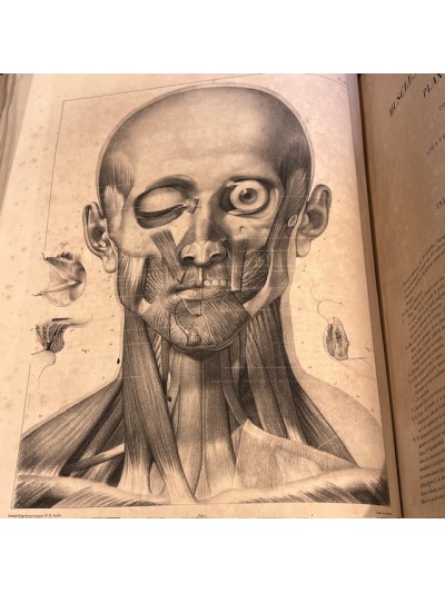 Anatomie de L'Homme - Atlas...