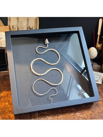Skeleton of a snake in a...