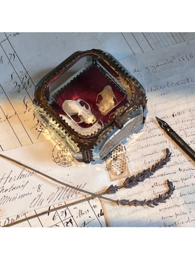 Boite reliquaire du XIXème siècle - Coffret à bijoux