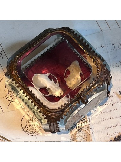 Boite reliquaire du XIXème siècle - Coffret à bijoux