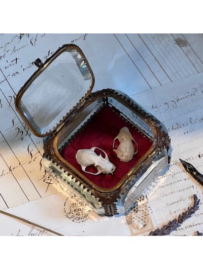 Boite reliquaire du XIXème siècle - Coffret à bijoux