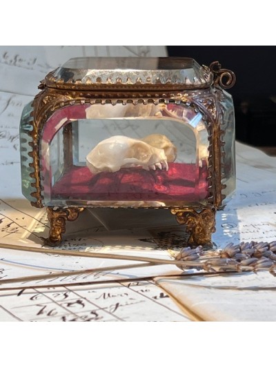 Boite reliquaire du XIXème siècle - Coffret à bijoux