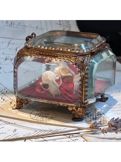 Boite reliquaire du XIXème siècle - Coffret à bijoux