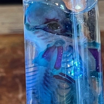 Diaphanization of a cat foetus - Felis catus