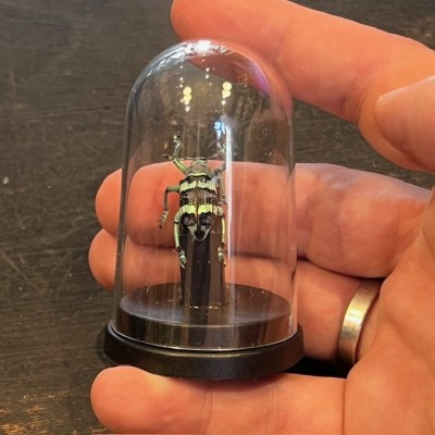 Eupholus mimikanus - Beetle under mini plastic globe