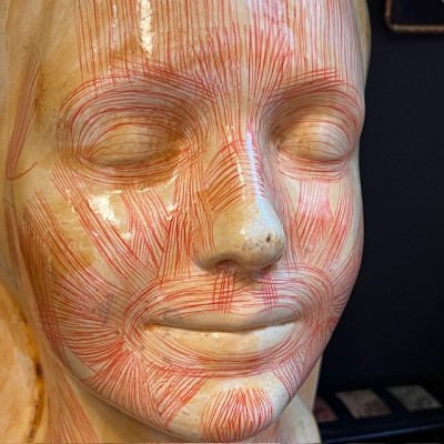Masque d' étude par Simonne Laubé - Ecorché - Inconnue de la Seine