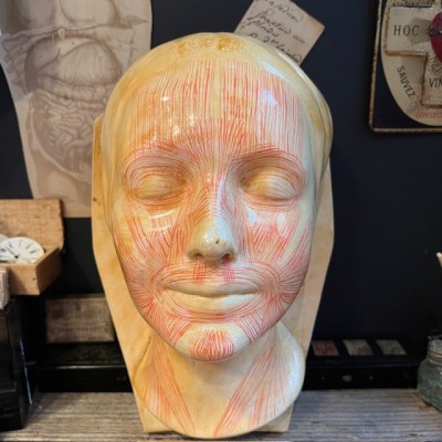 Masque d' étude par Simonne Laubé - Ecorché - Inconnue de la Seine