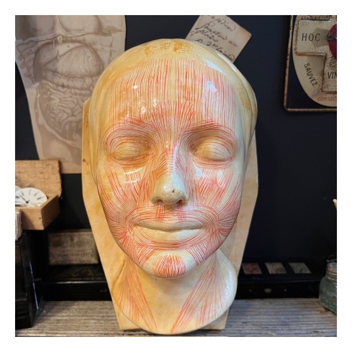 Masque d' étude par Simonne Laubé - Ecorché - Inconnue de la Seine
