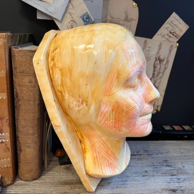 Masque d' étude par Simonne Laubé - Ecorché - Inconnue de la Seine