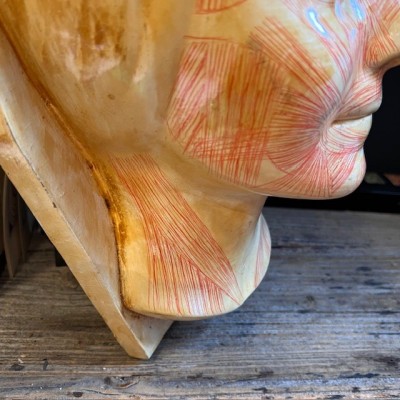 Masque d' étude par Simonne Laubé - Ecorché - Inconnue de la Seine