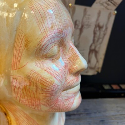 Flayed model - Study mask by Simonne Laubé - Inconnue de la Seine