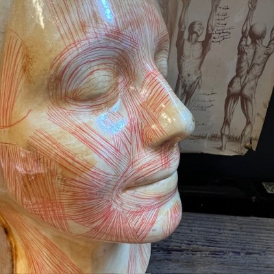 Flayed model - Study mask by Simonne Laubé - Inconnue de la Seine
