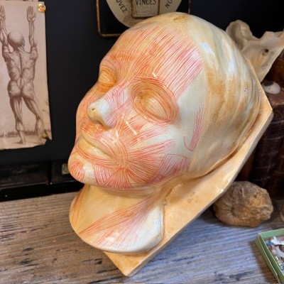 Masque d' étude par Simonne Laubé - Ecorché - Inconnue de la Seine