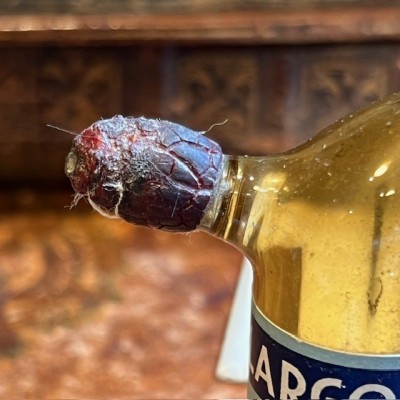 Collargophédrine - Antique pharmacy bottle - Apothecary