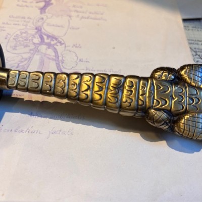 Reflex hammer - BAYER - Neurological hammer - Brass crocodile