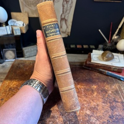 Cours de Botanique élémentaire - Par Rodet - Livre ancien de 1863