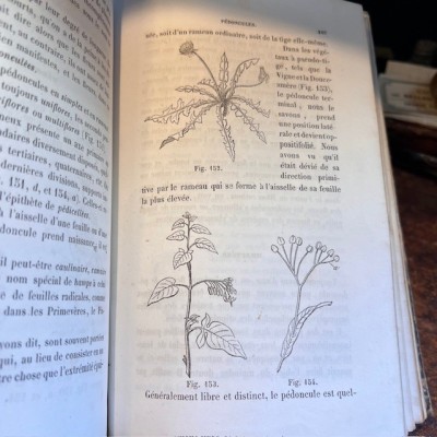 Cours de botanique élémentaire - Botanical antique book - 1863 - Rodet