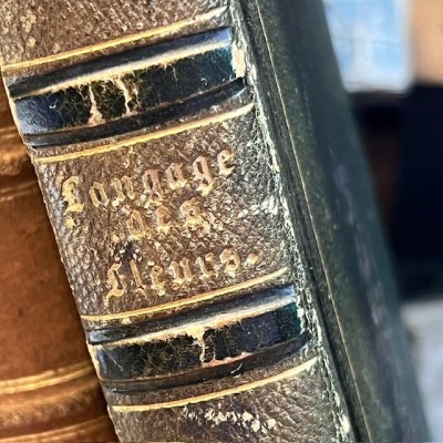 Langage des fleurs - 1848 - Symbolique des fleurs - Illustré