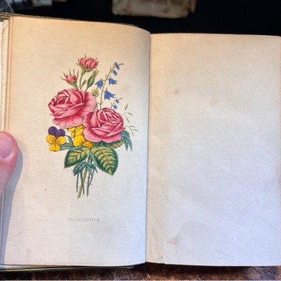 Langage des fleurs - 1848 - Symbolique des fleurs - Illustré