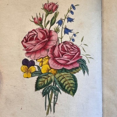 Langage des fleurs - 1848 - Symbolique des fleurs - Illustré