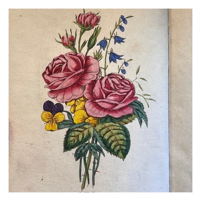 Langage des fleurs - 1848 - Symbolique des fleurs - Illustré Langage des fleurs - 1848 - Symbolique des fleurs - Illustré