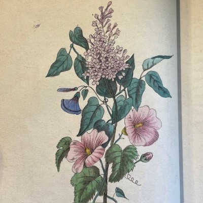 Le langage des fleurs - 1848 - Symbolism of flowers - Illustrated book