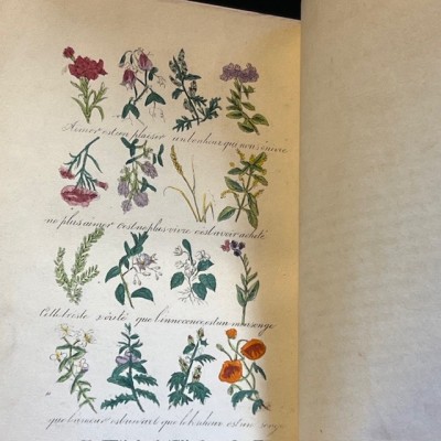 Langage des fleurs - 1848 - Symbolique des fleurs - Illustré