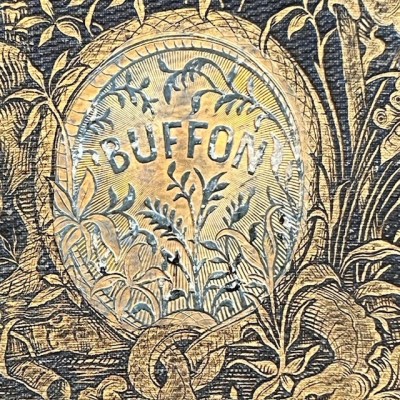 Oeuvres choisies de Buffon - 1855 - Couverture romantique - MAME