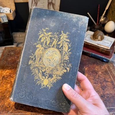 Oeuvres choisies de Buffon - 1855 - Couverture romantique - MAME
