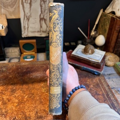 Oeuvres choisies de Buffon - 1855 - Couverture romantique - MAME