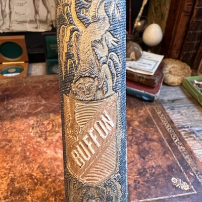 Oeuvres choisies de Buffon - 1855 - Couverture romantique - MAME