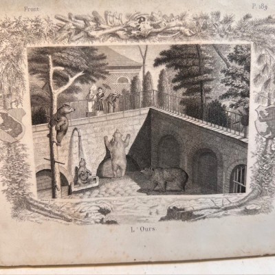 Oeuvres choisies de Buffon - 1855 - Couverture romantique - MAME