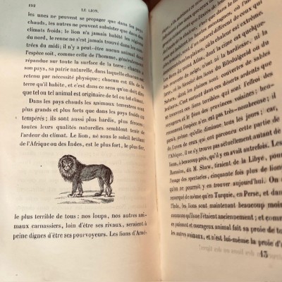 Oeuvres choisies de Buffon - 1855 - Couverture romantique - MAME