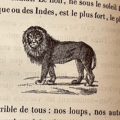Oeuvres choisies de Buffon - 1855 - Couverture romantique - MAME