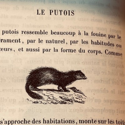 Oeuvres choisies de Buffon - 1855 - Couverture romantique - MAME