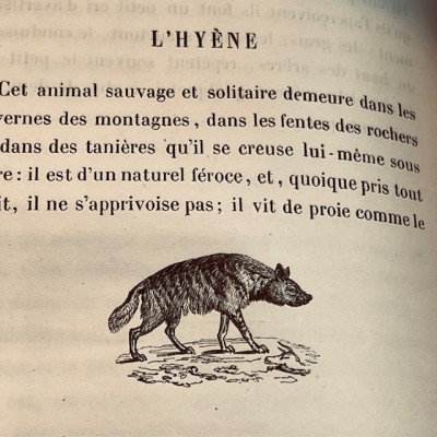 Oeuvres choisies de Buffon - 1855 - Couverture romantique - MAME