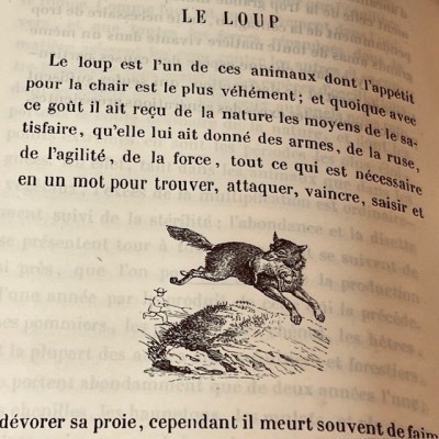 Oeuvres choisies de Buffon - 1855 - Couverture romantique - MAME