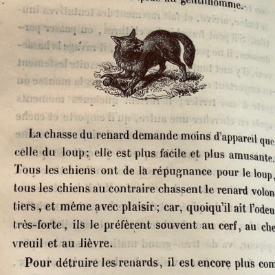 Oeuvres choisies de Buffon - 1855 - Couverture romantique - MAME