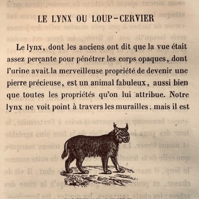 Oeuvres choisies de Buffon - 1855 - Couverture romantique - MAME