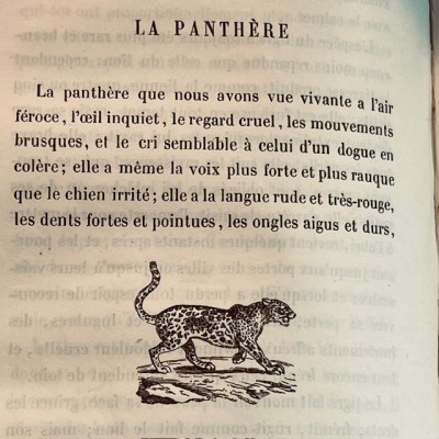 Oeuvres choisies de Buffon - 1855 - Couverture romantique - MAME