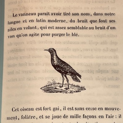 Oeuvres choisies de Buffon - 1855 - Couverture romantique - MAME