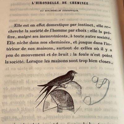 Oeuvres choisies de Buffon - 1855 - Couverture romantique - MAME