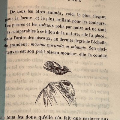 Oeuvres choisies de Buffon - 1855 - Couverture romantique - MAME