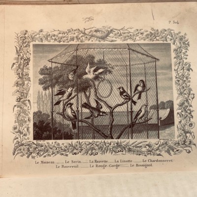 Oeuvres choisies de Buffon - 1855 - Couverture romantique - MAME