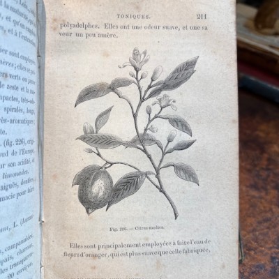 Eléments de matière médicale - Par Soubeiran - Livre ancien de 1878
