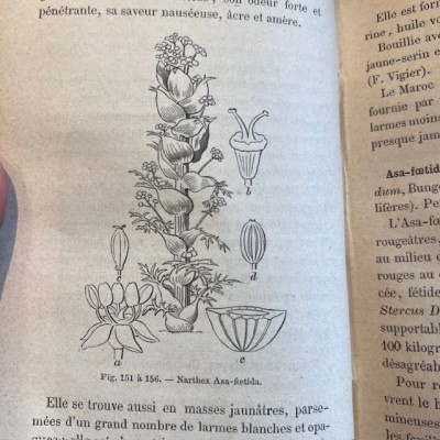 Eléments de matière médicale - Par Soubeiran - Livre ancien de 1878